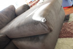 nuances, irritating things, messy house, pet peeves