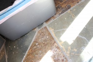 nuances, irritating things, messy house, pet peeves