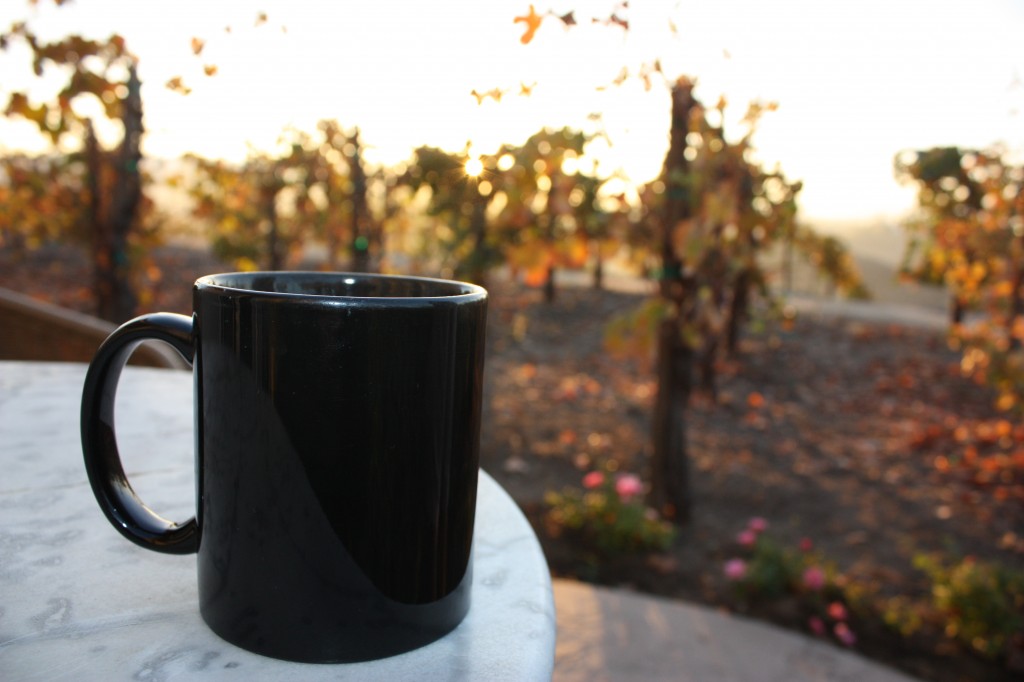 kids, funny pictures, friday photo wrap up, temecula wine country, thanksgiving, zoomars, kids activities, orange county, inland empire, corn box, babies, south coast winery, temecula, temecula wine, villa, wine villa, south coast winery villa