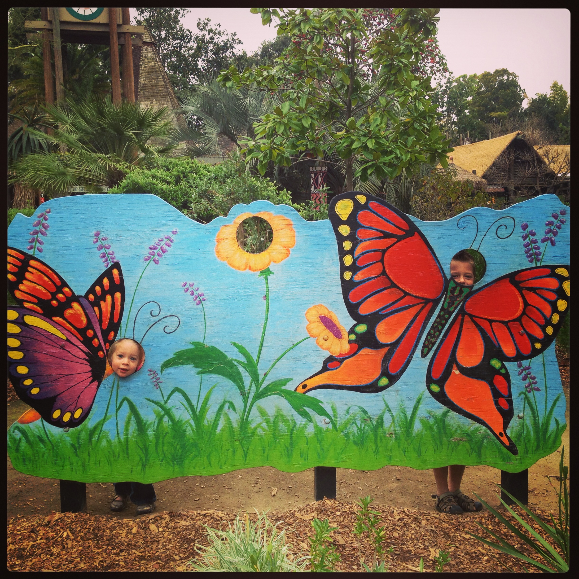 san diego, san diego zoo, san diego zoo safari park, safari park, zoo, butterfly, butterfly events, kids events, things to do with kids in san diego, hidden jungle, butterfly contest, #butterflyjungle, butterfly jungle, jungle, giant owl butterfly, postman butterfly, paper kite butterfly, zebra longwing butterfly, colors to see butterfly, butterfly colors, ultraviolet colors, nectar flowers,